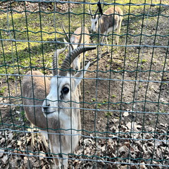 23-02-13 14-02-15 4207